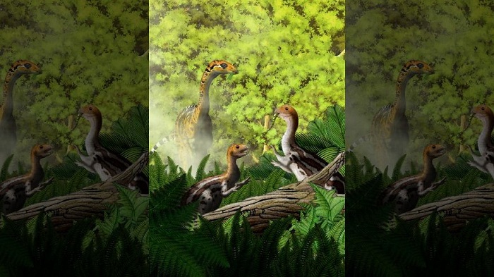 Weird dinosaur species had teeth only in youth 